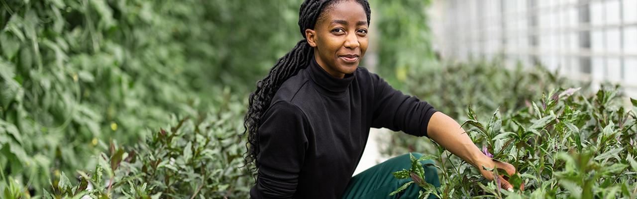 Our sustainability approach